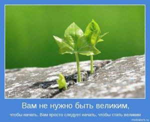 mot05-300x244-5507726