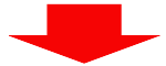strelka2-6422881