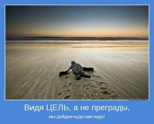 vidya-tsel-a-ne-pregradyi-myi-doydem-kuda-nado-300x243-7533848