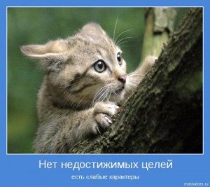 mot08-300x267-1345125