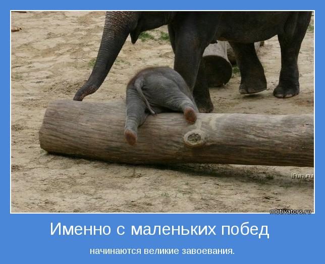 imenno-s-malenkih-pobed-nachinayutsya-velikie-zavoeaniya-4522077